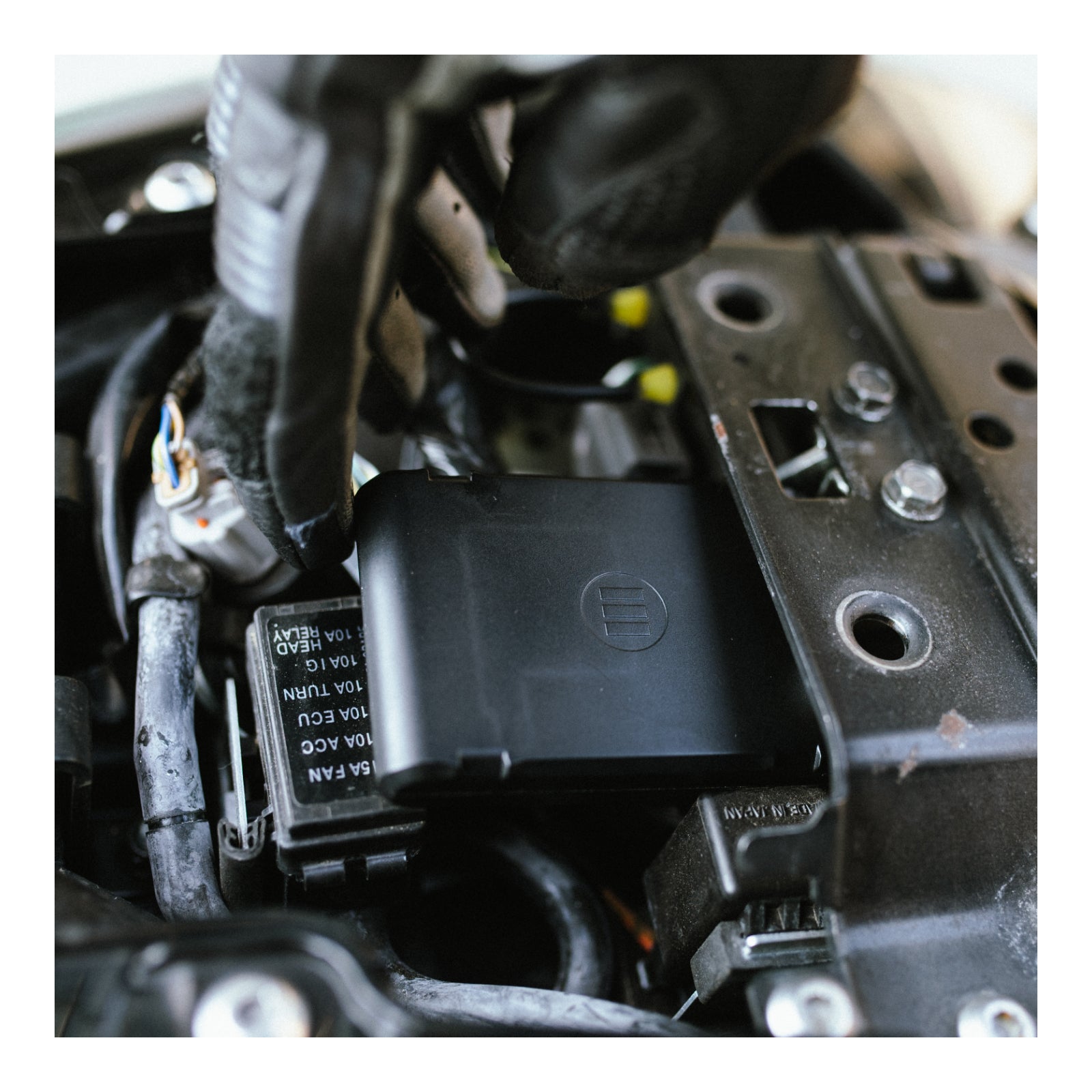 MONIMOTO 7 - PLUS 3 EDITION